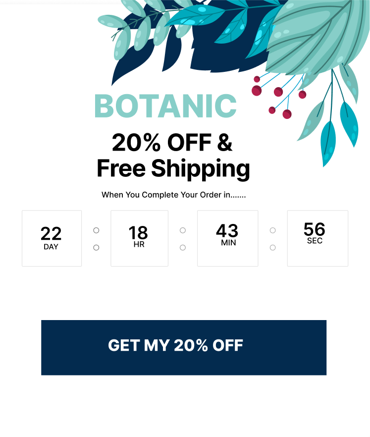 Free shipping Flash Window